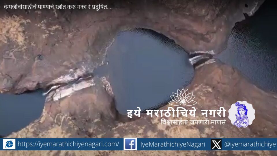 Do Not Pollute Water Sources for Wildlife Protect Nature