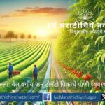 Drip irrigation system for vine crops and tomato farming for efficient water management.