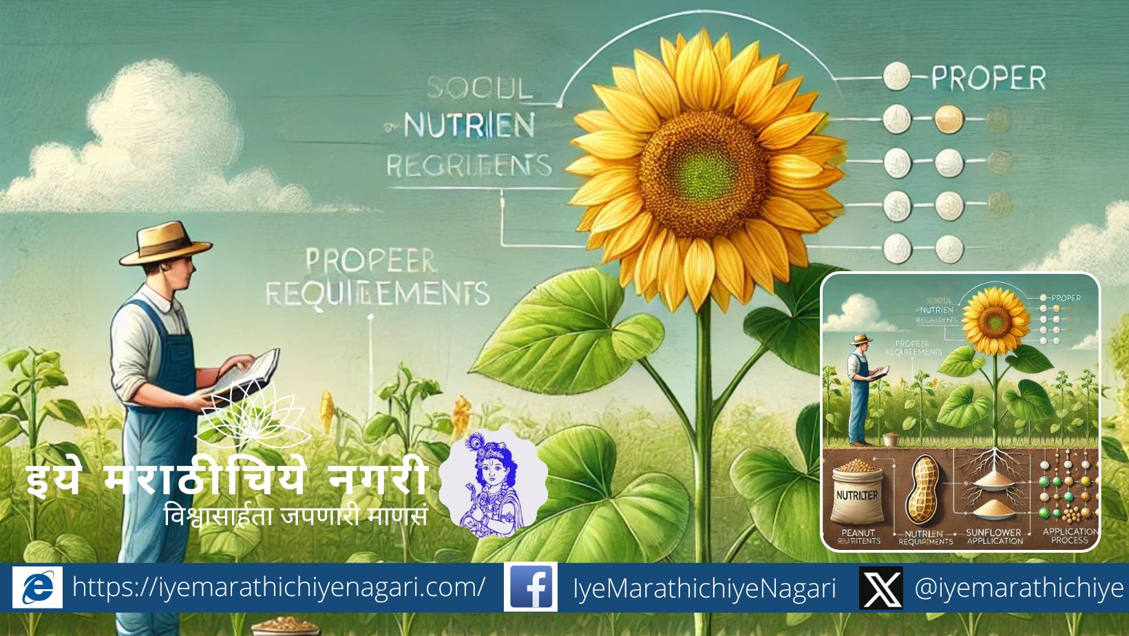 Peanut Nutrient Management & Sunflower Fertilizer Guide