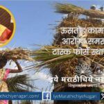 Sugarcane workers working in the fields under harsh conditions, highlighting the need for a health task force.