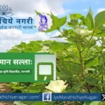 Dark clouds over a farm in Marathwada region – symbolizing rain forecast and farmer alertness