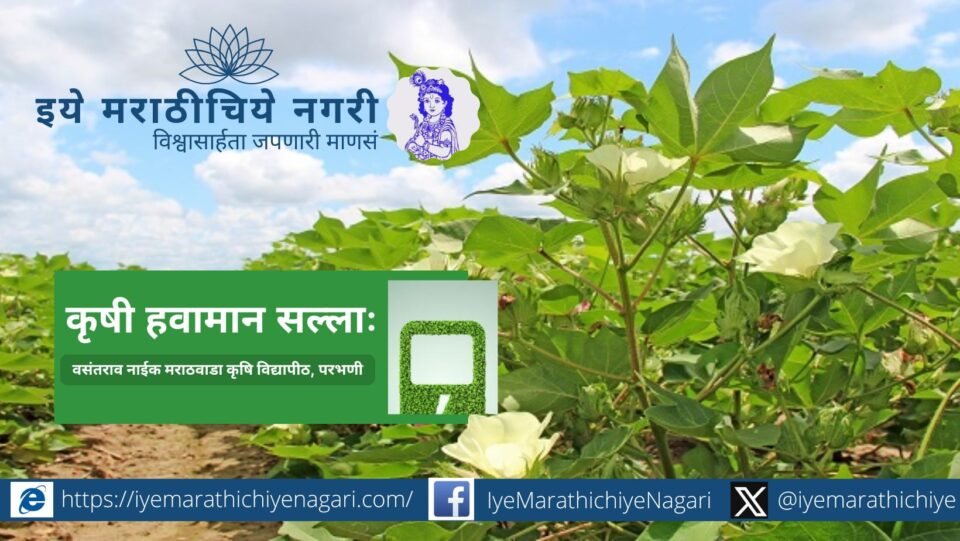 Dark clouds over a farm in Marathwada region – symbolizing rain forecast and farmer alertness