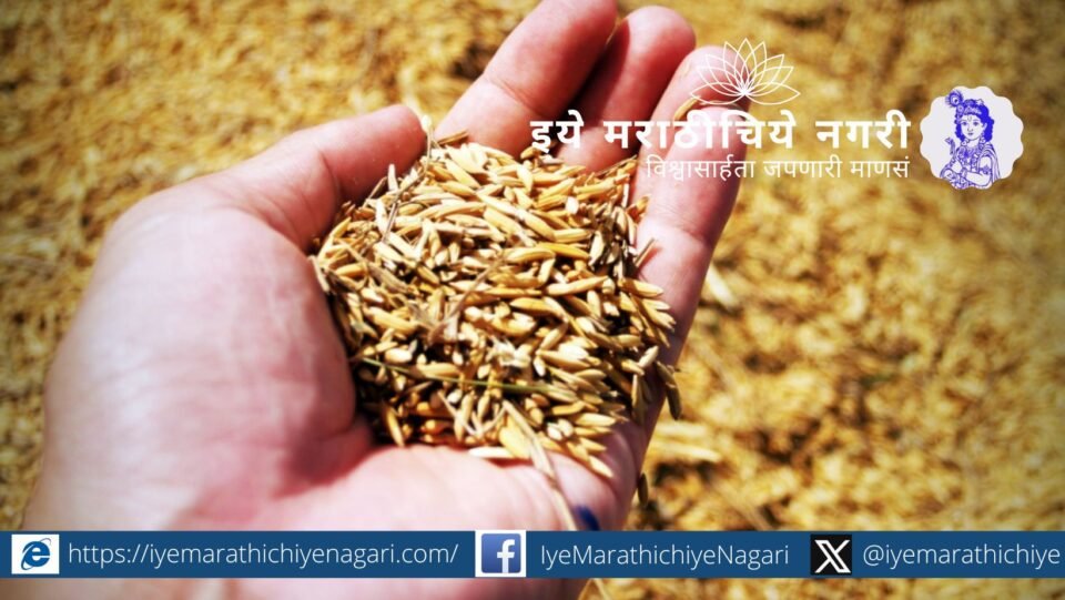 How to Treat Paddy Seeds Before Sowing A Step-by-Step Guide