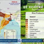 A lush green rice field in India with visible waterlogging and haze, symbolizing high rice yield and environmental concerns