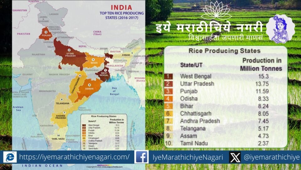 A lush green rice field in India with visible waterlogging and haze, symbolizing high rice yield and environmental concerns