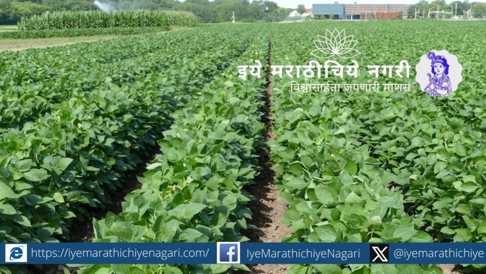 Dr. Anant Ingle guiding farmers on soybean fertilizer and nutrient management in a farm training session.