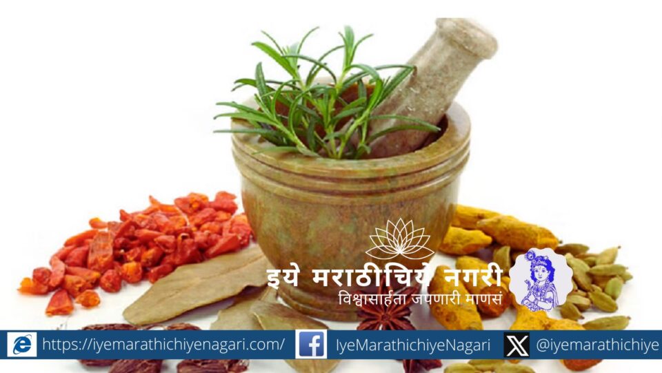 Official declaration of 23 September as Ayurveda Day by Government of India – Gazette Notification 2025