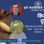 A detailed Marathi feature on termites from the series "Kitkanchya Duniyet", written by Dhananjay Shah and narrated by Rasika Tuljapurkar.