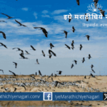 Khichan and Menar in Rajasthan declared as new Ramsar wetland sites; PM Modi appreciates ecological recognition