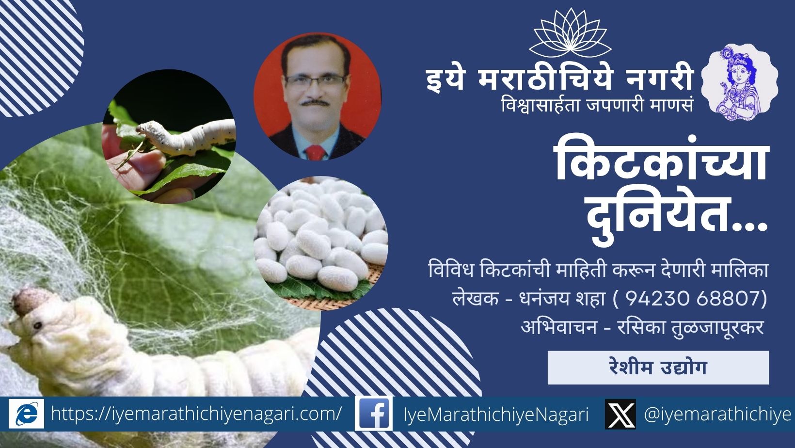 Silkworms spinning cocoons – Exploring the silk industry in the insect world by Dhananjay Shaha