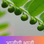 भुईआवळा (Phyllanthus Niruri) ही औषधी रानभाजी आहे. याचे औषधी गुणधर्म, पारंपरिक उपयोग, कावीळ, मूत्रपिंड, मधुमेह व यकृतविकारांवरील फायदे व भाजी करण्याच्या पाककृती जाणून घ्या.
