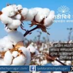 कच्च्या कापसावरील ११% आयात शुल्क रद्द करण्याच्या केंद्र सरकारच्या निर्णयाचा अखिल भारतीय किसान सभेने निषेध केला असून शेतकऱ्यांना आंदोलनासाठी आवाहन केले आहे.