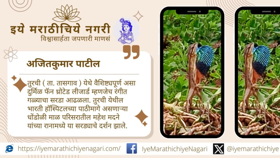 तासगाव तालुक्यातील तुरुची येथे रंगीत गळ्याचा दुर्मिळ सरडा आढळला. मोरपंखी रंगाच्या पंख्यासारख्या पिशवीसाठी प्रसिद्ध हा जीव जैवविविधतेत आकर्षण ठरतो.