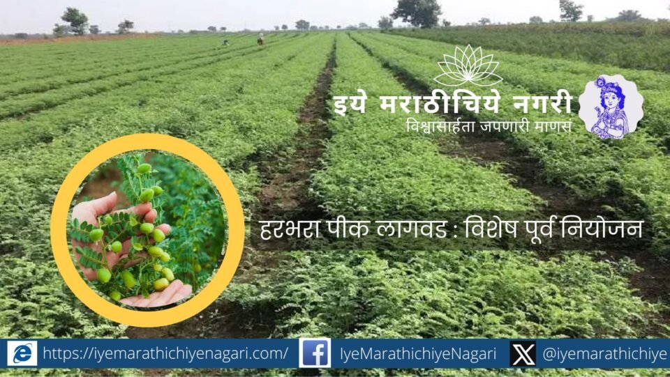 हरभरा लागवडीसाठी बियाणे निवड, पेरणी वेळ, मर व कॉलर रॉट रोग नियंत्रण, सूक्ष्म अन्नद्रव्ये वापर आणि योग्य खत व्यवस्थापन या उपायांनी उत्पादनात वाढ साधता येते.