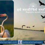 उजनी धरणावरील भिगवण पक्षी अभयारण्याची सफर. फ्लेमिंगो व स्थलांतरित पक्ष्यांचे रमणीय दर्शन, नौकाविहार, निसर्ग अनुभव व भिगवणच्या सुग्रास खाद्यसंस्कृतीचा आनंद.