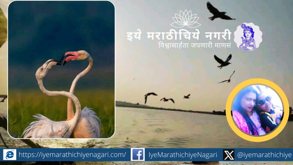 उजनी धरणावरील भिगवण पक्षी अभयारण्याची सफर. फ्लेमिंगो व स्थलांतरित पक्ष्यांचे रमणीय दर्शन, नौकाविहार, निसर्ग अनुभव व भिगवणच्या सुग्रास खाद्यसंस्कृतीचा आनंद.