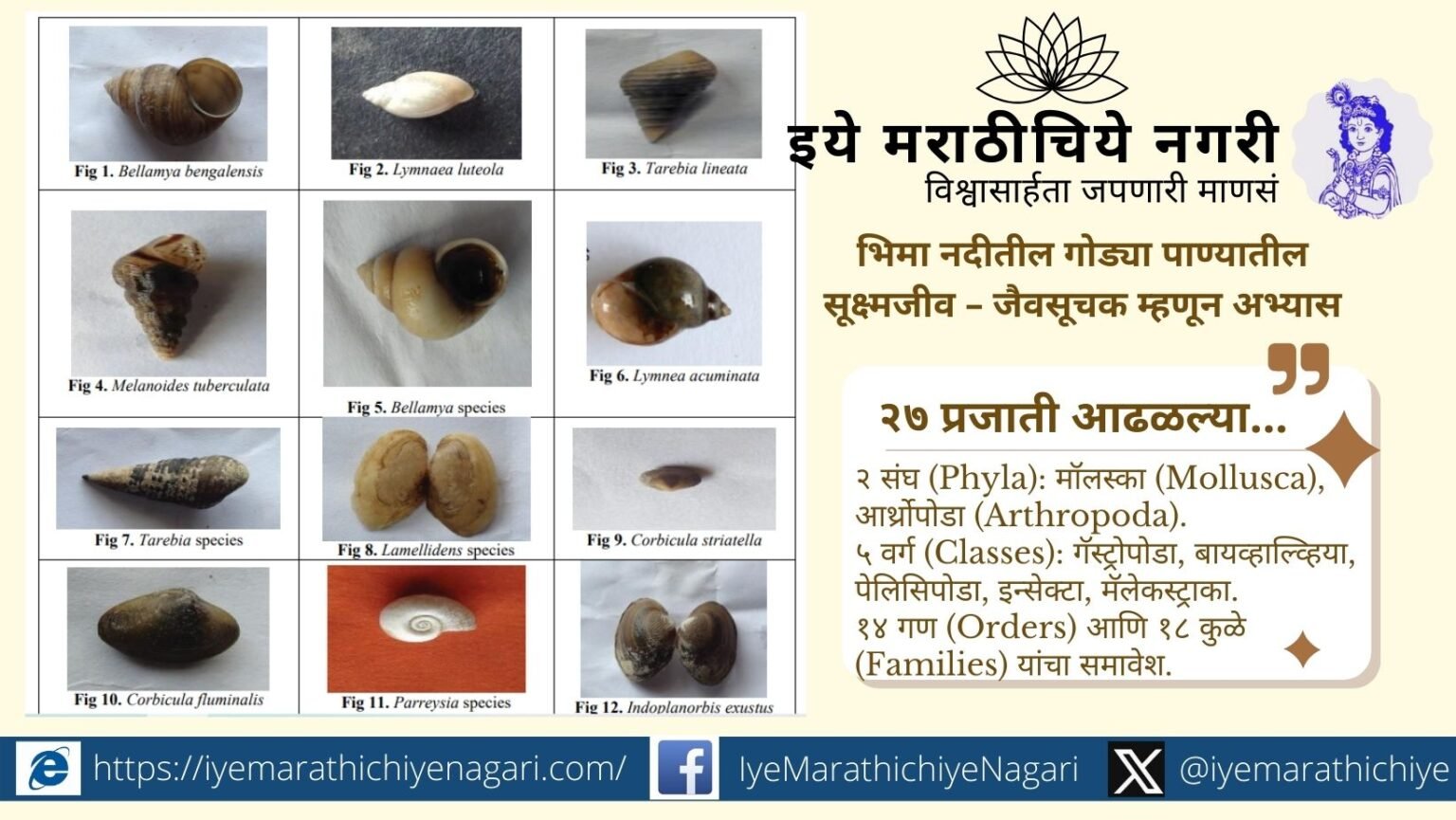 भिमा नदीतील सूक्ष्मजीवांवर झालेल्या संशोधनातून नदी मध्यम प्रदूषित असल्याचे स्पष्ट झाले. जैवसूचक प्रजातींवर आधारित हा अभ्यास नदी संरक्षणासाठी महत्त्वाचा आहे.