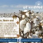भारतीय कापूस शेतकऱ्यांना हमीभाव नाकारल्यामुळे अब्जावधींचा तोटा. स्वामिनाथन आयोगाचे सूत्र लागू केले असते तर शेतकऱ्यांना प्रति हेक्टर २५ हजार उत्पन्न शक्य झाले असते.