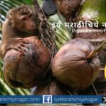कोकणातील शेतकरी आणि रानटी प्राणी संघर्ष वाढतोय. भातशेती, आंबा, काजू, नारळ पिकांचे मोठे नुकसान होत असून दीर्घकालीन उपाययोजना तातडीने गरजेच्या आहेत.