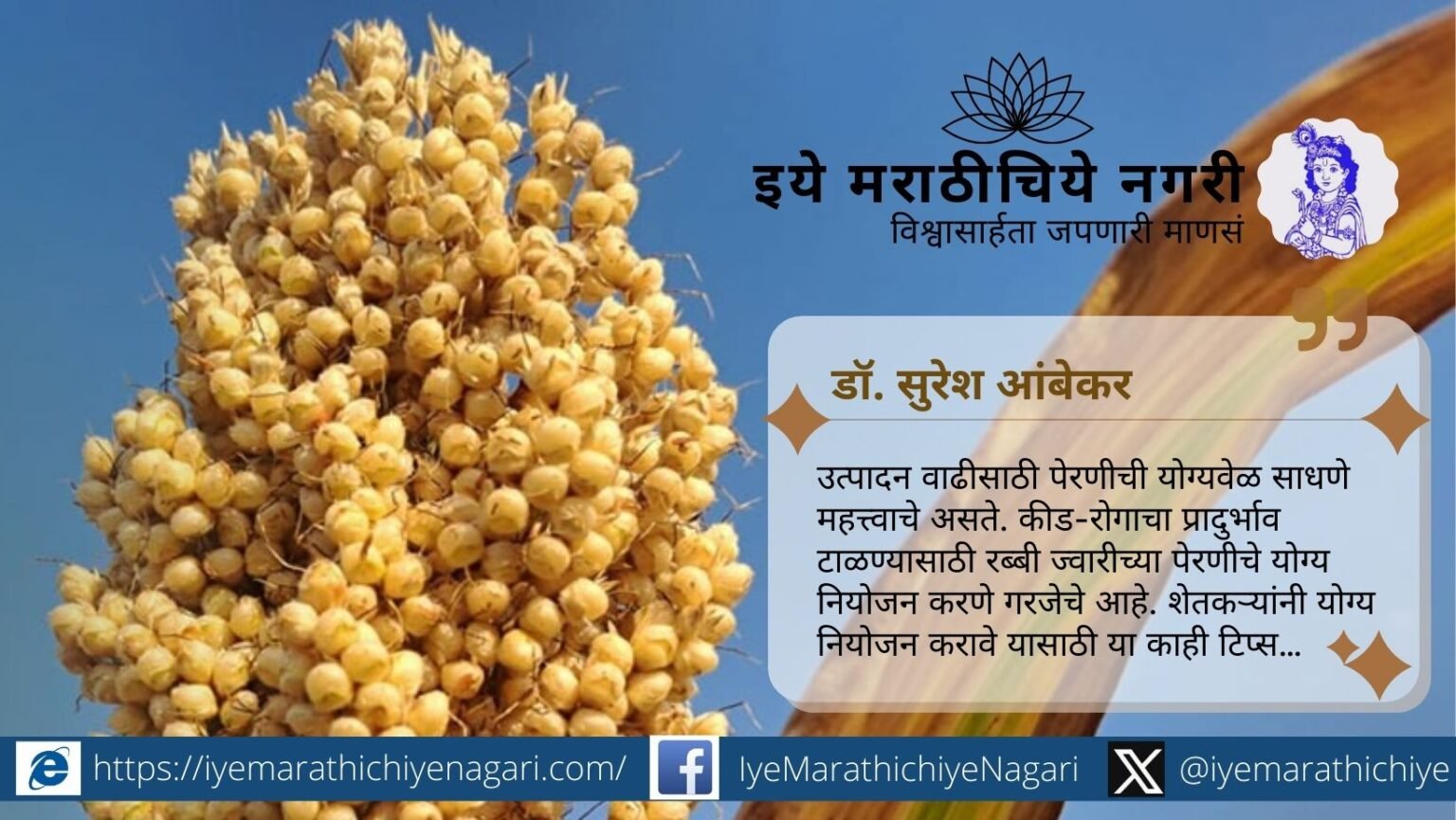 Increase Rabi Jowar yield with proper sowing time, seed treatment, fertilizer use, spacing, and inter-cultivation. Expert tips by Dr. Suresh Ambekar for higher production.