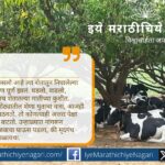 शेतकऱ्याच्या मातीशी असलेल्या नात्याचा भावनिक प्रवास. पारंपरिक शेती, गावाची संस्कृती आणि आधुनिकतेने हरवलेली कृषी आत्मा यावर आधारित हृदयस्पर्शी लेख.