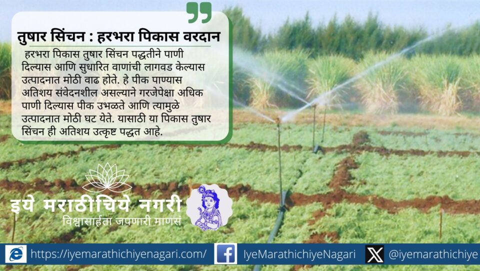 डॉ. एस. डी. राजपूत, तेलबिया संशोधन केंद्र, जळगाव यांच्या मार्गदर्शनाखाली सुधारित हरभरा लागवड तंत्रज्ञान जाणून घ्या आणि अधिक उत्पादन मिळवा.