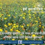 डॉ. शहाजी शिंदे यांनी अभिराम सराफ यांना दिलेल्या खास मुलाखतीत करडई लागवडीची सुधारित तंत्रे, उत्पादनवाढीचे उपाय आणि शेतकऱ्यांसाठी मार्गदर्शन दिले आहे.