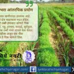 रब्बी हंगामात तिळ-हरभरा आंतरपीक पद्धतीचा नवा प्रयोग शेतकऱ्यांसाठी फायदेशीर ठरत आहे. या पद्धतीमुळे जमिनीची सुपीकता, उत्पादन व उत्पन्न वाढीस हातभार लागतो.