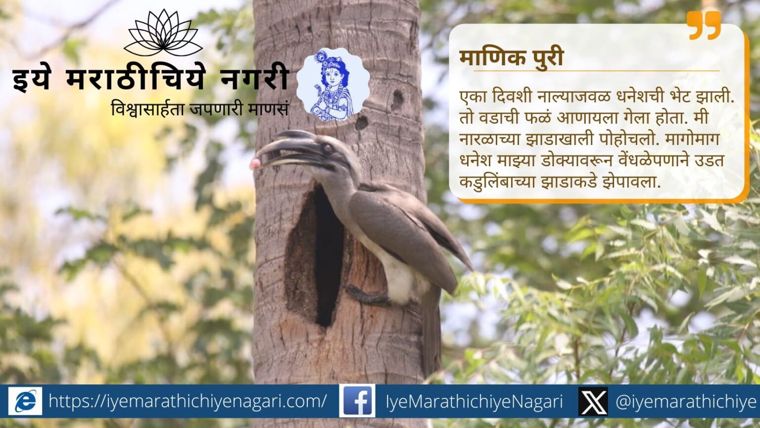 ‘रानसखा : धनेश’ या लेखातून निसर्गातील प्रेम, त्याग आणि सहजीवनाची सुंदर कहाणी. उध्दव भयवाळ यांचा निरीक्षणप्रधान व भावस्पर्शी निसर्गलेख.