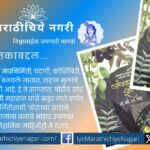 डॉ. व्ही. एन. शिंदे यांच्या ‘बांधावरची झाडे’ पुस्तकाचा सखोल आढावा. बांधावरच्या झाडांचे पर्यावरणीय, सांस्कृतिक, औषधी आणि वैज्ञानिक महत्त्व सांगणारे उत्कृष्ट पुस्तक.