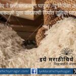 छत्तीसगडमधून पापुआ न्यू गिनीला २० मेट्रिक टन पोषकतत्वांनी समृद्ध तांदळाची निर्यात; भारताच्या कृषी निर्यातीत आणखी एक महत्वाची कामगिरी.