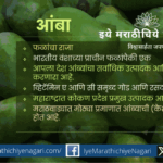 आंबा पिकावरील तुडतुडे, त्यांची लक्षणे, नुकसान, जीवनचक्र आणि प्रभावी नियंत्रण उपायांची सविस्तर माहिती. शाश्वत, जैविक व रासायनिक नियंत्रण पद्धतींसह संपूर्ण मार्गदर्शक.