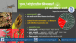 आंबा पिकातील फुलमाशी, मिजमाशी व फळमाशी नियंत्रणाच्या प्रभावी उपायांची माहिती. मोहोर, फुले व फळांची नुकसानापासून बचाव करून उत्पादन वाढवा.