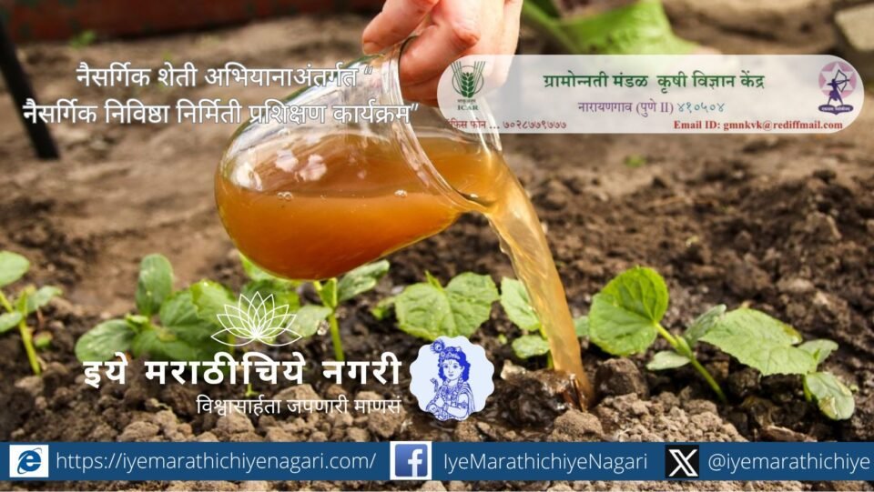 नारायणगाव येथे १९ नोव्हेंबर रोजी नैसर्गिक निविष्ठा निर्मितीचे मोफत प्रशिक्षण. जीवामृत, बीजामृत, दशपर्ण अर्क यांचे प्रत्यक्ष मार्गदर्शन. शेतकऱ्यांनी मोठ्या संख्येने सहभागी व्हावे.