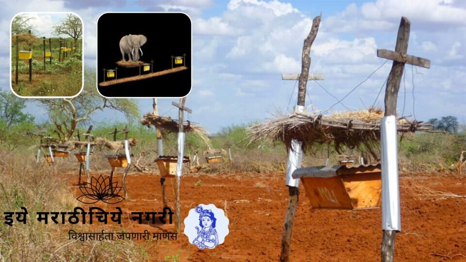 A sustainable human–wildlife conflict prevention system using beehive fences, solar sensors and modern technology in Konkan farmlands.