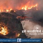 Global organizations working on wildfire research, forest fire prevention and climate change mitigation