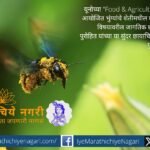 A bumblebee flying with pollen grains covering its body, highlighting its critical role in natural crop pollination