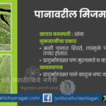 Image showing major mango pests and control measures based on Dr. B. V. Bhede’s research