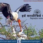 Painted Stork spreading wings while feeding chicks, symbol of motherhood and bird conservation