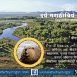 Restored Rio Grande river flowing through natural landscape supporting wildlife and local communities