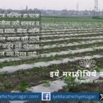 Image showing farmland with plastic mulching waste scattered on soil, symbolizing soil pollution and declining soil health.
