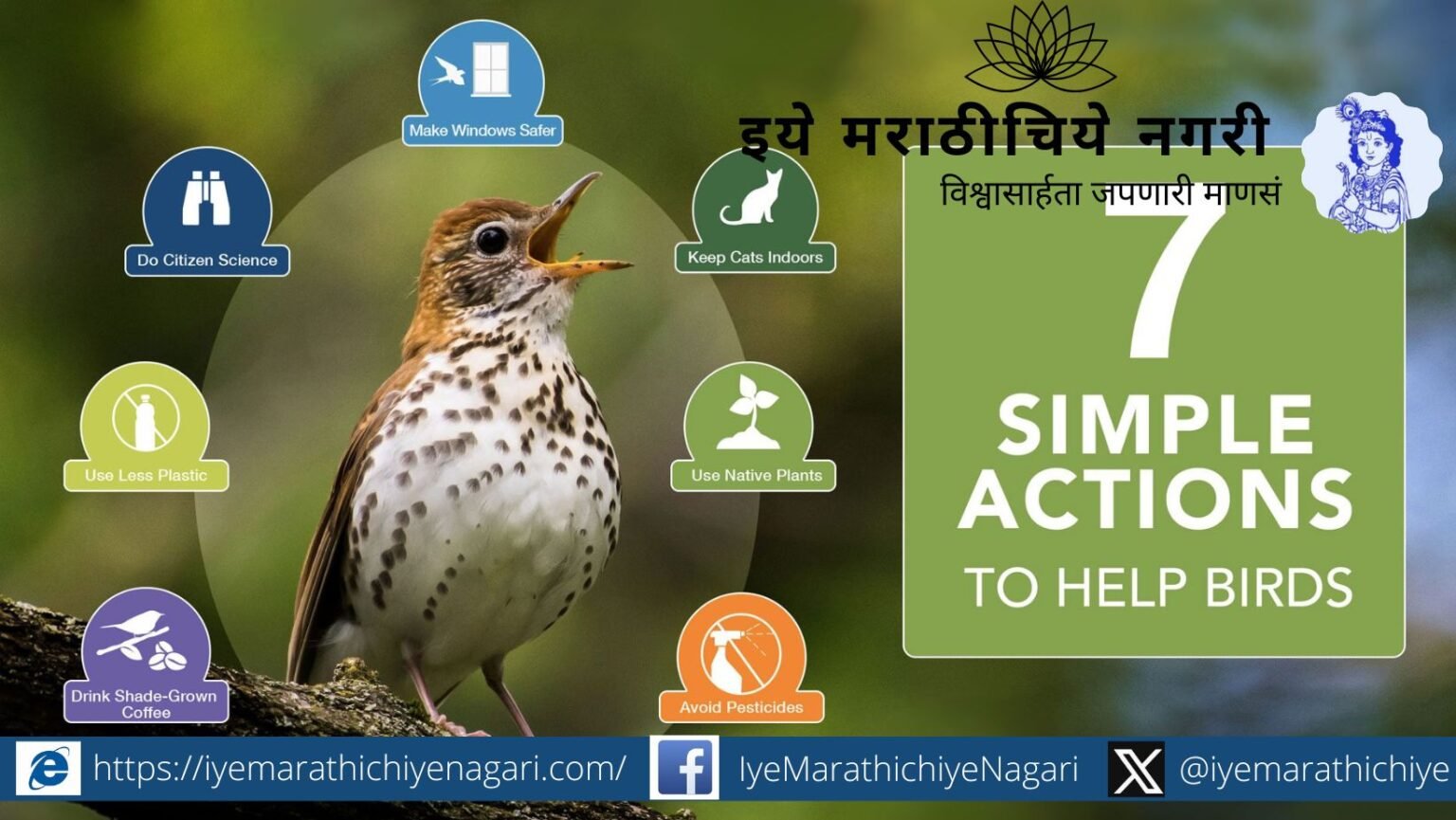 A flock of birds flying across a vibrant sky symbolizing the Vishvabharati vision of global bird conservation.