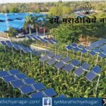 ॲग्रो-फोटोव्होल्टेइक पद्धतीत शेतावर उंचावर बसवलेले सौर पॅनल्स आणि त्याखाली शेती