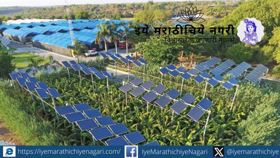 ॲग्रो-फोटोव्होल्टेइक पद्धतीत शेतावर उंचावर बसवलेले सौर पॅनल्स आणि त्याखाली शेती