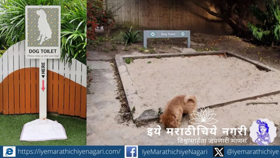 Pet dog waste on urban streets highlighting public health and civic responsibility issues in Indian cities