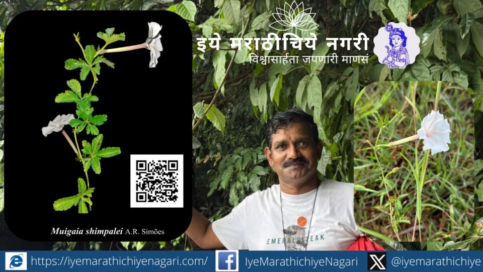 New Western Ghats plant species Mugaya Shimplei named in honor of botanist Dr Vinod Shimple