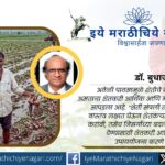Farmland damaged after unseasonal rain as Dr Budhajirao Mulik urges urgent support for farmers