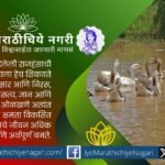 Rajhans symbolism explaining spiritual wisdom and science in Dnyaneshwari philosophy