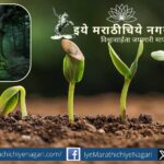 Illustration of seed growing into tree symbolizing universe creation in Dnyaneshwari Advaita philosophy