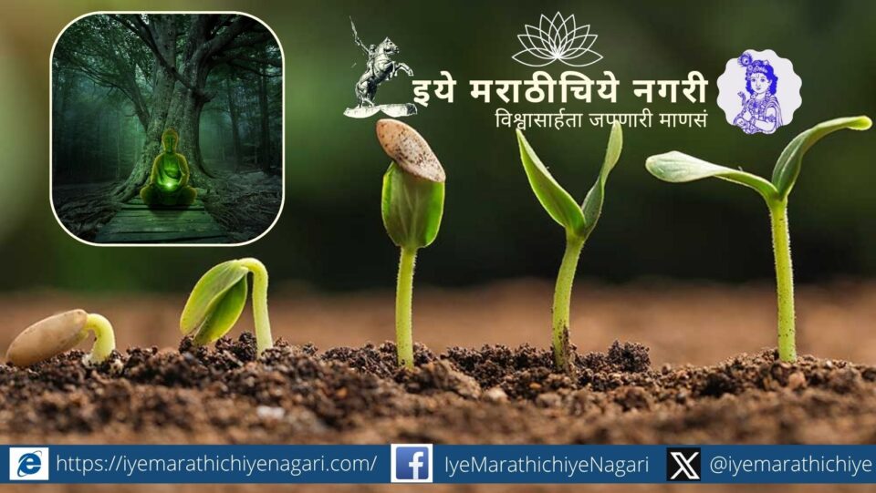 Illustration of seed growing into tree symbolizing universe creation in Dnyaneshwari Advaita philosophy